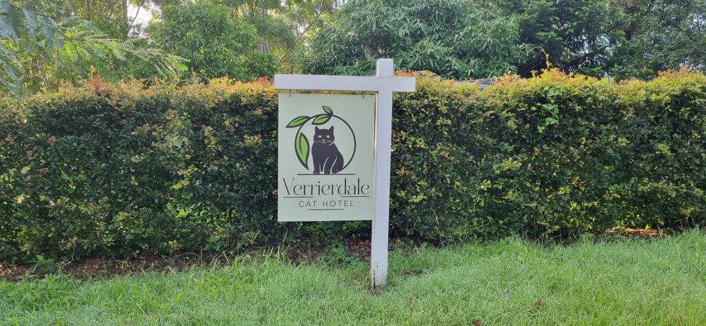 sunshine_coast_signage_building_signs